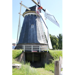 Horn - De Hoop 02